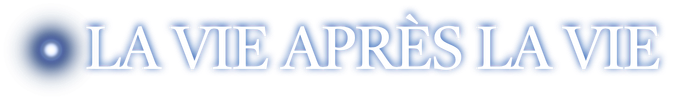 lavieapreslavie.com